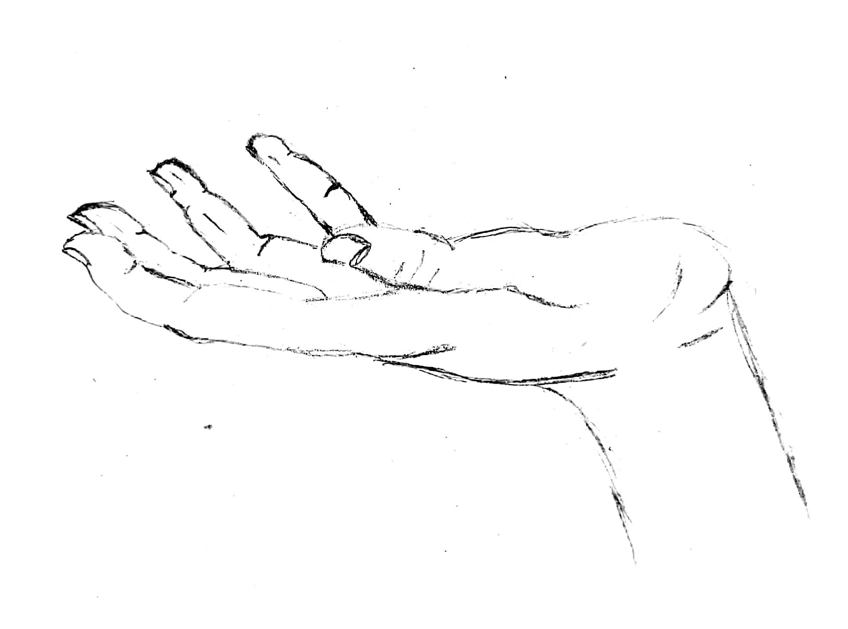 Sketch of an open hand, palm facing up